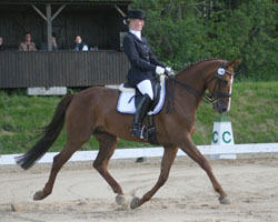 Nadine Ollmann wurde in Dummerstorf in der M-Dressur M2 Zweite auf Day Dream und siegte auf Royal Rubinstar. Nadine Ollmann wurde in Dummerstorf in der M-Dressur M2 Zweite auf Day Dream und siegte auf Royal Rubinstar.